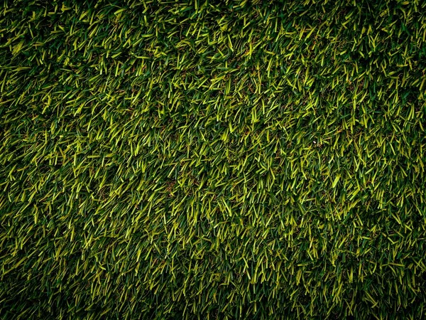 Сучасний Фон Текстури Зеленого Газону Шпалери Роботи Дизайну — стокове фото