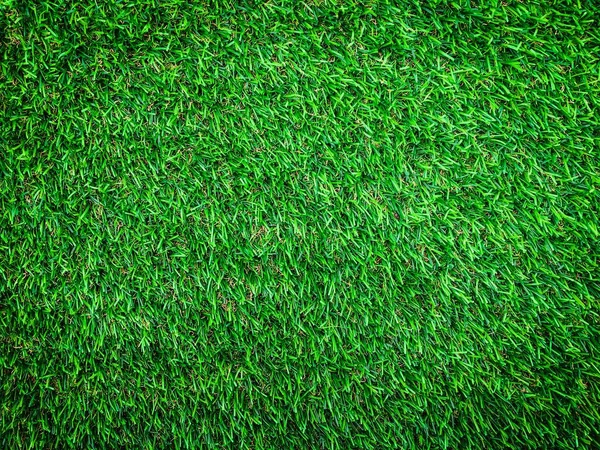 Nature Green Grass Texture Background Design Eco Concept — Stock Photo, Image