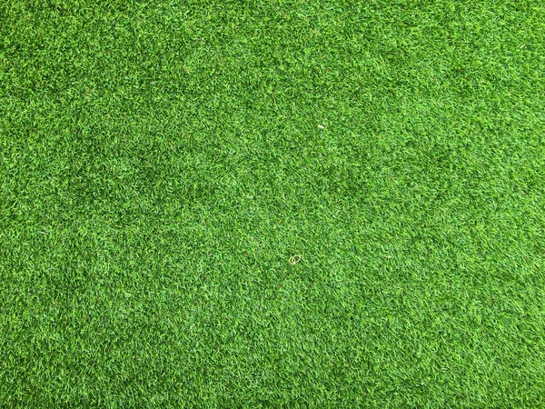 Natuur Groen Gras Textuur Achtergrond Voor Ontwerp Milieuconcept — Stockfoto