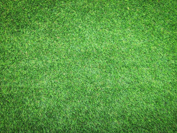 デザインのための自然の緑の草のテクスチャの背景 エココンセプト — ストック写真