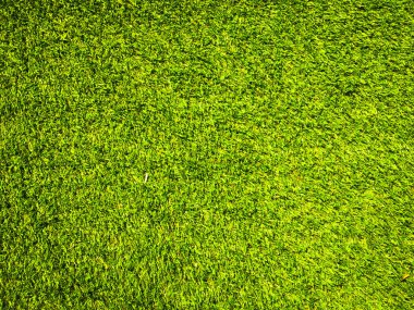 Yeşil çimen dokusu doğal arka plan olarak kullanılır. Tasarım sanatı için duvar kağıdı