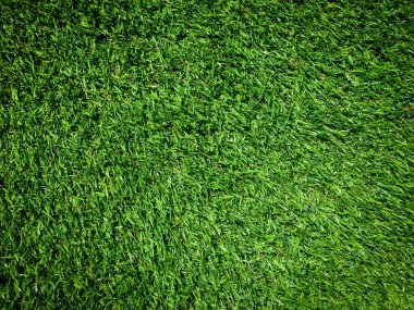 Yeşil çimen dokusu doğal arka plan olarak kullanılır. Tasarım sanatı için duvar kağıdı