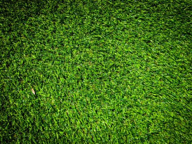 Yeşil çimen dokusu doğal arka plan olarak kullanılır. Tasarım sanatı için duvar kağıdı