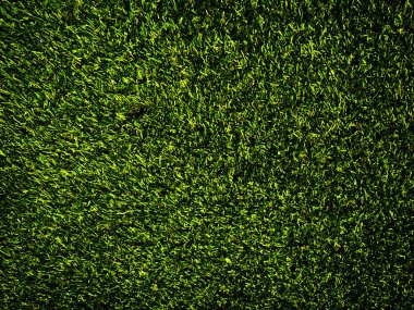 Yeşil çimen dokusu doğal arka plan olarak kullanılır. Tasarım sanatı için duvar kağıdı