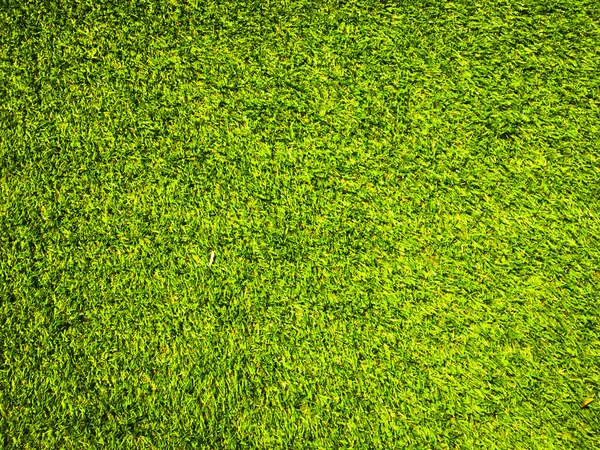 緑の草のテクスチャは 自然の背景として使用します デザインアートワーク用壁紙 — ストック写真