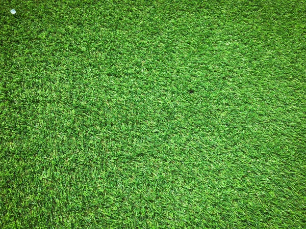 Green Grass Texture Use Natural Background Wallpaper Design Artwork — Stock Photo, Image