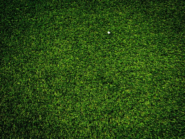 Texture Herbe Verte Utiliser Comme Fond Naturel Fond Écran Pour — Photo