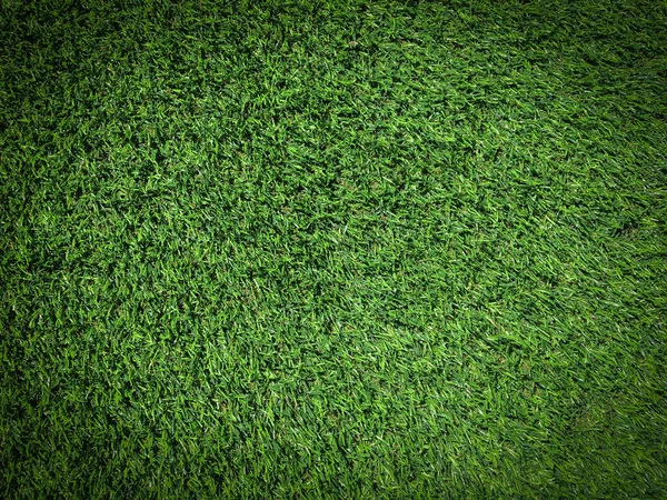 Struktura Zelené Trávy Používá Jako Přirozené Pozadí Tapeta Pro Design — Stock fotografie