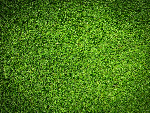 Зеленая Текстура Травы Используется Качестве Естественного Фона Обои Оформления — стоковое фото