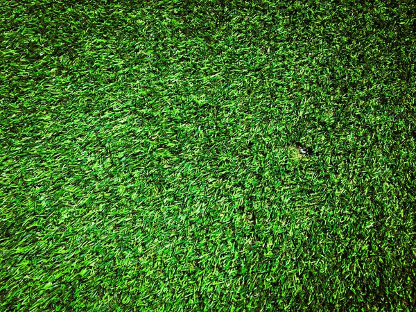 Grama Verde Artificial Quintal Para Fundo Textura Para Design — Fotografia de Stock