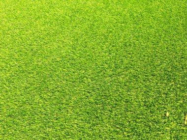 Tasarım için doğal arka planda yeşil çimenler