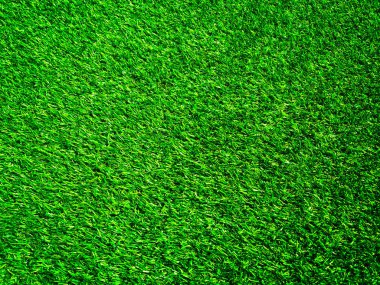 Tasarım için doğal arka planda yeşil çimenler