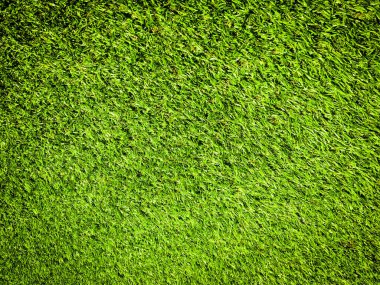 Tasarım için doğal arka planda yeşil çimenler