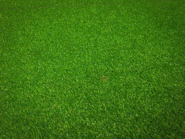 Tasarım için doğal arka planda yeşil çimenler