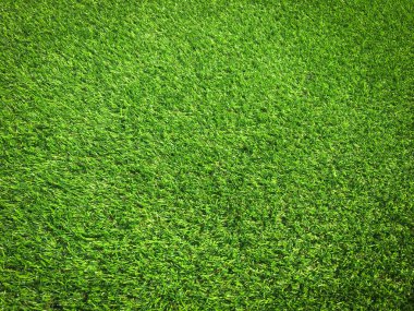 Tasarım için doğal arka planda yeşil çimenler