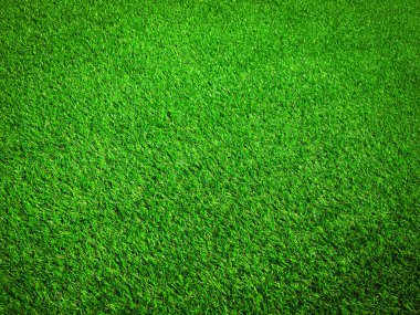 Tasarım için doğal arka planda yeşil çimenler