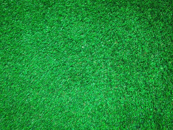 녹색의 잔디가 있어요 설계를 — 스톡 사진