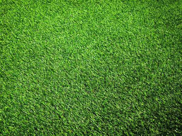 Green Grass Natural Background Design — Stock Photo, Image