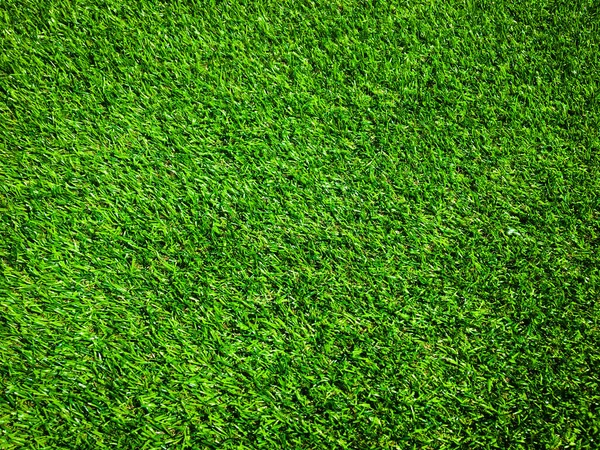 Groen Gras Natuurlijke Achtergrond Voor Ontwerp — Stockfoto