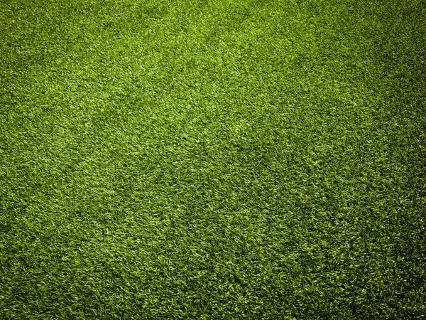 Зеленая Трава Естественном Фоне Дизайна — стоковое фото