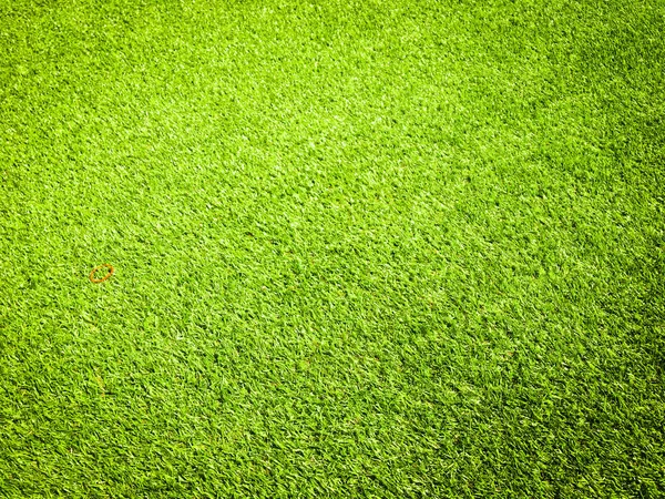 Grünes Gras Natürlichen Hintergrund Für Die Gestaltung — Stockfoto