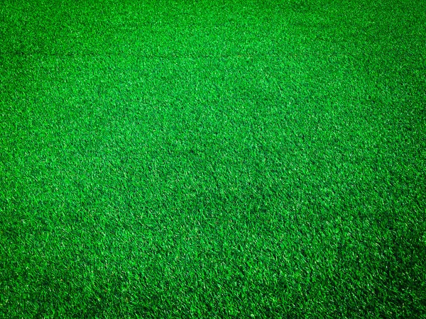 Green Grass Natural Background Design — Stock Photo, Image