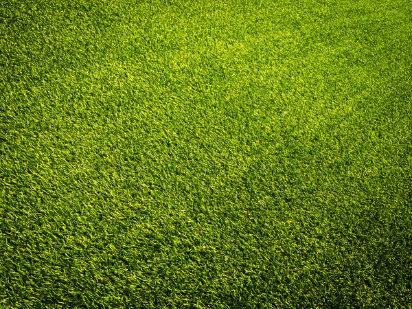 天然背景下的绿草设计 — 图库照片