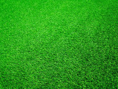 Yeşil çimenler ormandaki manzarayı kapatır ve tasarım için kopyalama alanı yaratır.