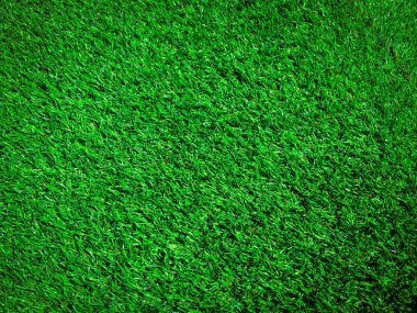 Yeşil çimenler ormandaki manzarayı kapatır ve tasarım için kopyalama alanı yaratır.