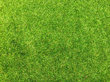Arka planda golf sahasından güzel yeşil çimen desenleri. Çalışma ve tasarım için boşluk kopyala, Üst Görünüm