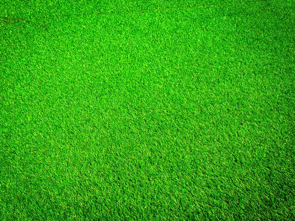 Искусственная Текстура Травы — стоковое фото