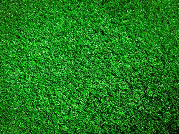 Πράσινο Γρασίδι Κοντά Προβολή Στη Ζούγκλα Αντίγραφο Χώρο Για Σχεδιασμό — Φωτογραφία Αρχείου