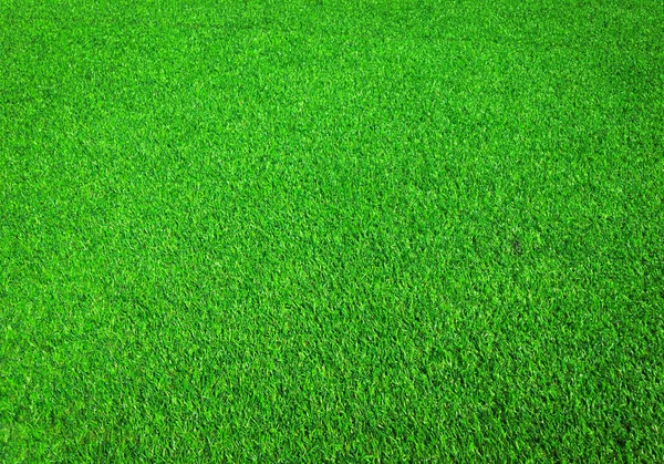 緑の芝生は デザインのためのコピースペースとジャングルの中でビューを閉じます — ストック写真