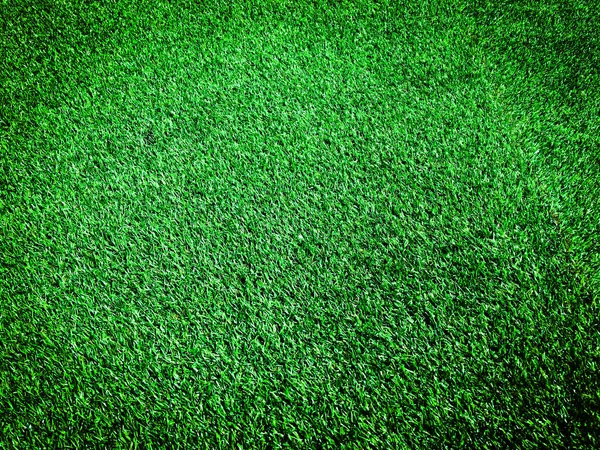 Green Grass Close View Jungle Copy Space Design — Stock Photo, Image