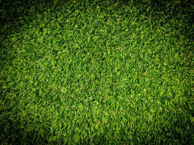 Arka planda golf sahasından güzel yeşil çimen desenleri. Çalışma ve tasarım için boşluk kopyala, Üst Görünüm