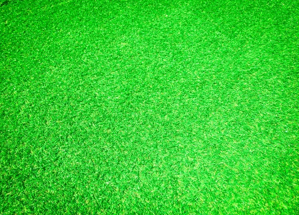 Piękny Zielony Wzór Trawy Pola Golfowego Tle Kopiuj Miejsce Pracy — Zdjęcie stockowe