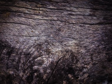 Tasarım için ahşap doku duvar arkaplanı