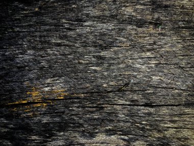 Tasarım için ahşap doku duvar arkaplanı