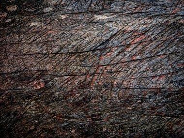 Tasarım için ahşap doku duvar arkaplanı