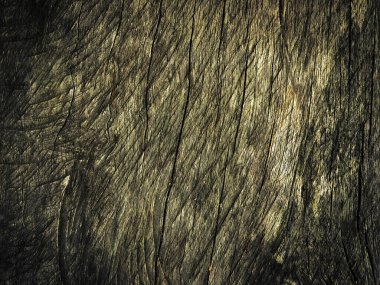 Doğal arkaplan olarak ahşap doku kullanımı