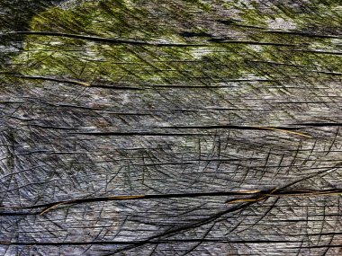 eski ahşap doku arka plan tasarımı için