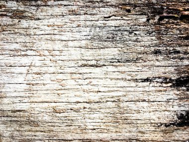 Tasarım için doğal kalıp ahşap arkaplan