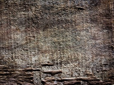 Tasarım için doğal kalıp ahşap arkaplan