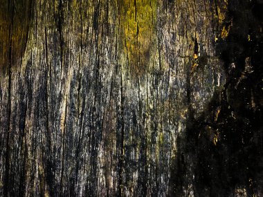 Tasarım için doğal kalıp ahşap arkaplan