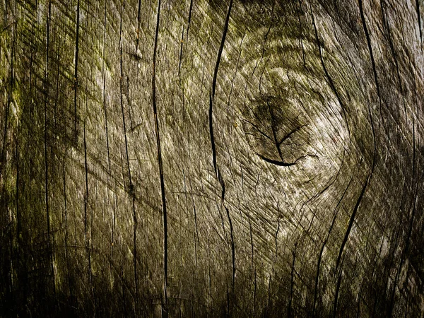 Altes Holz Textur Hintergrund Für Design — Stockfoto