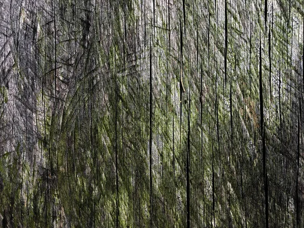 Altes Holz Textur Hintergrund Für Design — Stockfoto