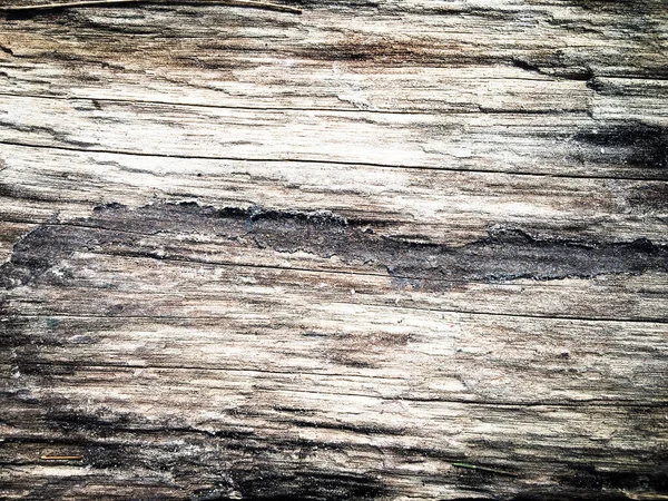 Natürliche Muster Holz Hintergrund Für Design — Stockfoto