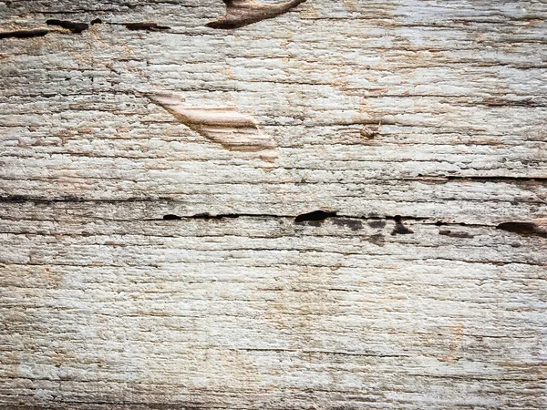 Naturalny Wzór Drewna Tło Projektowania — Zdjęcie stockowe