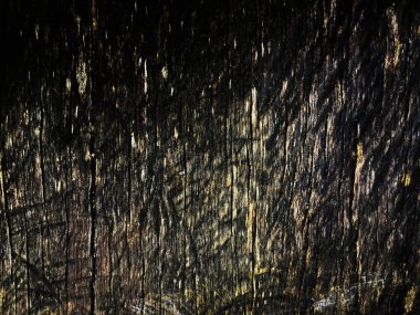 Çalışma ve tasarım için güzel ahşap desen arkaplanı