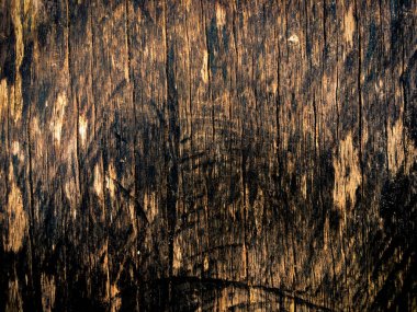 Çalışma ve tasarım için güzel ahşap desen arkaplanı